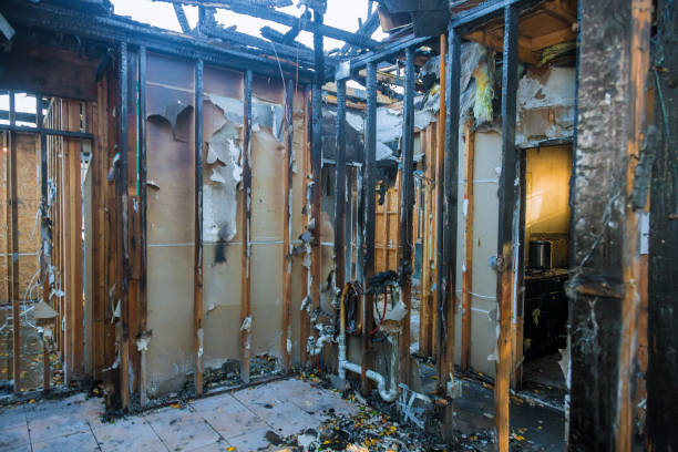 Professional Fire Damage Removal technician working in Green Springs, OH